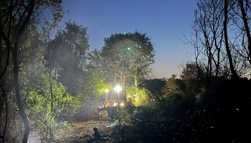 Edirne Orman Yangını Sonunda Kontrol Altına Alındı!
