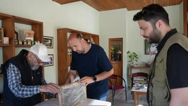 Doktorların Uyardığı Doğanın İki Yüzü: Hem Şifa Hem De Zehir