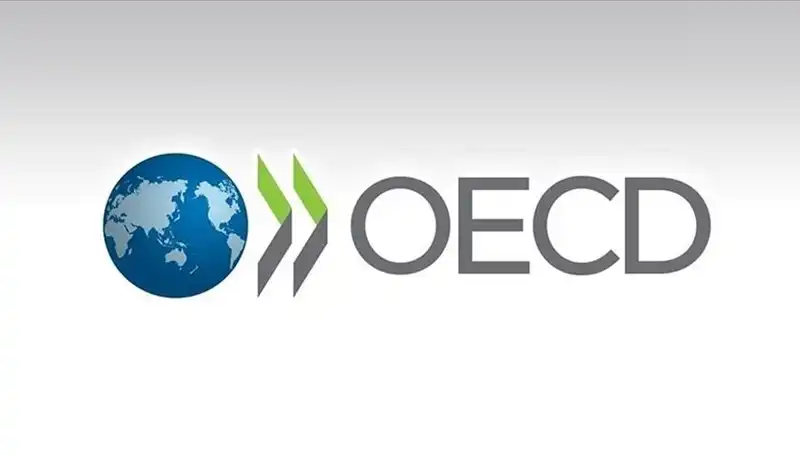 OECD, Türkiye'nin 2024 Büyüme Tahminini Neden Güncelledi?