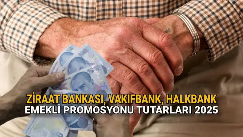 2025'te Emekliler için Kamu Bankaları Promosyonları: Ne Kadar Kazanacaksınız?