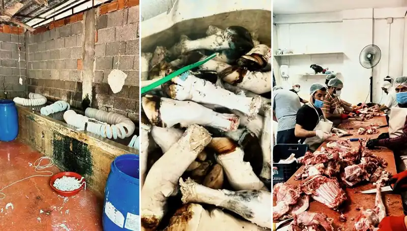 Adana'da Mide Bulandıran Kaçak Paça Operasyonu: Yüzlerce Kilo Ele Geçirildi