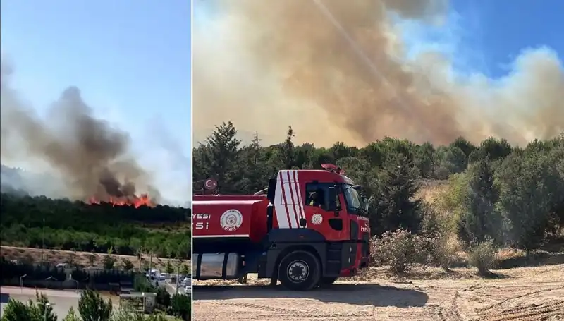 Gebze’deki Orman Yangını: Doğanın Kalbi Yanıyor