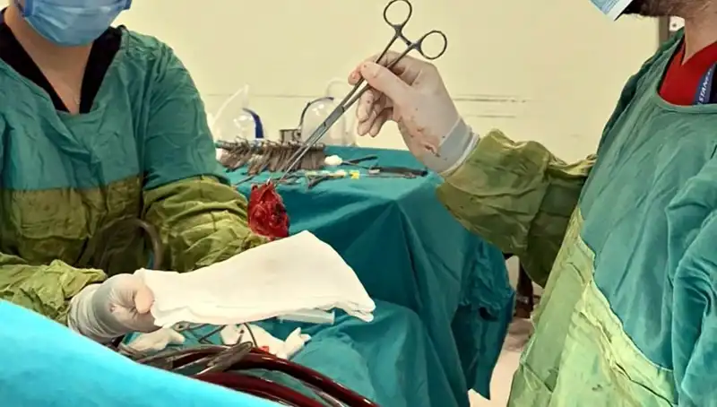 Kalp Kapağı Çürümüş Hastaya 7 Saatlik Mucizevi Ameliyat Gerçekleşti