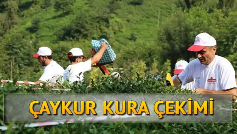 Çaykur Kura Sonuçları: Canlı Yayında İsim Listesi Nasıl Takip Edilir?