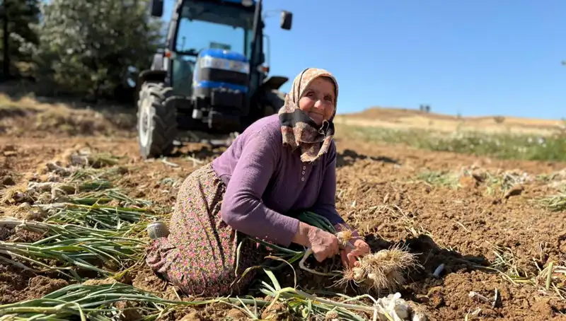Dünyanın En Değerli Tohumu: Selenyum Zengini Tohum 1200 Lira!