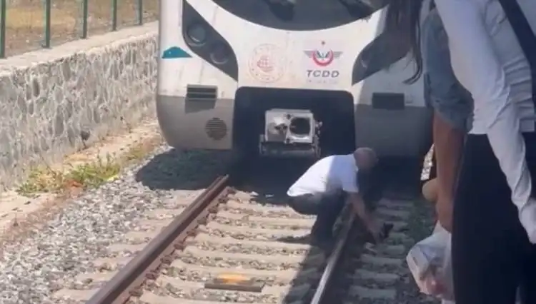 Marmaray Makinistinin Kahramanlığı: Raylardaki Kedi Durumu Durdurdu