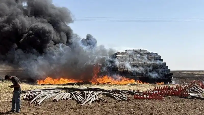 Mardin’de Korkutan Anız Yangını: Doğa ve Tarım Tehdit Altında