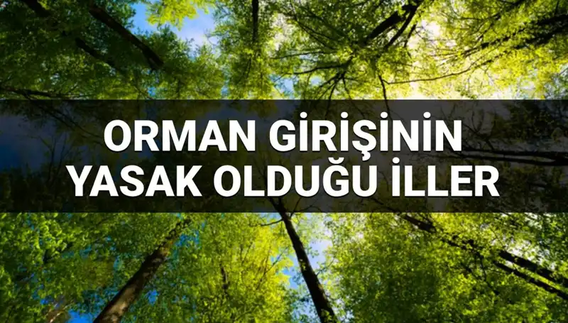 2025'te Orman Girişi Yasaklanan İller: Hangi Bölgeler Kapsamda?