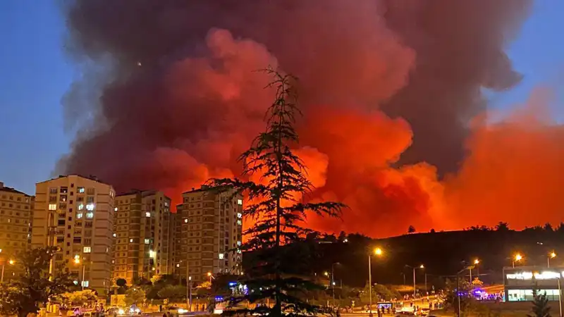 Bursa'nın Alevlerle Saran Mahalleleri: Yangınlar Tüm Şehri Etkisi Altında