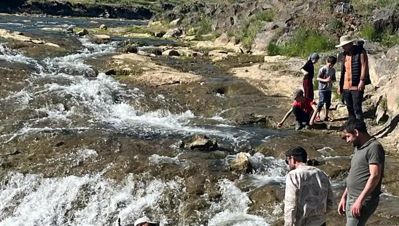 İnci Kefali Göçü: Doğa Harikası Turistleri Büyülüyor