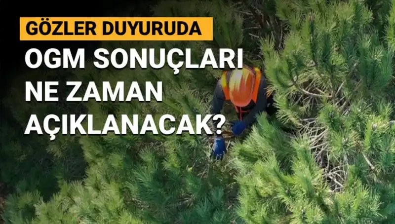 OGM Personel Alımı Duyurusunda Son Gelişmeler: 3.477 Adayı Bekleyen Sonuçlar