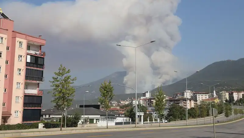 Denizli’de Orman Yangını: Yangının Ardındaki Gizemli Şüpheli