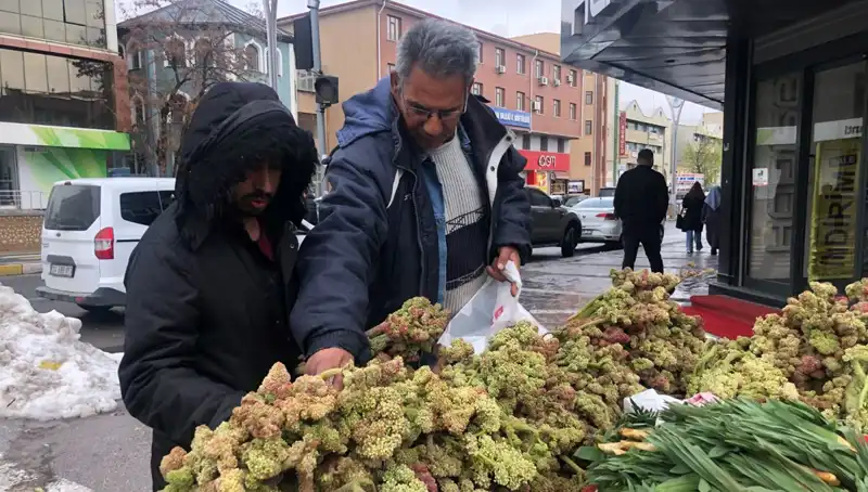 vitamin deposu bitki, kanserle mücadelede umut vaadediyor