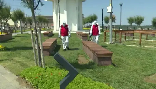 Kene Tehditi Artıyor: Halka Açık Alanlarda İlaçlama Faaliyetleri Başladı