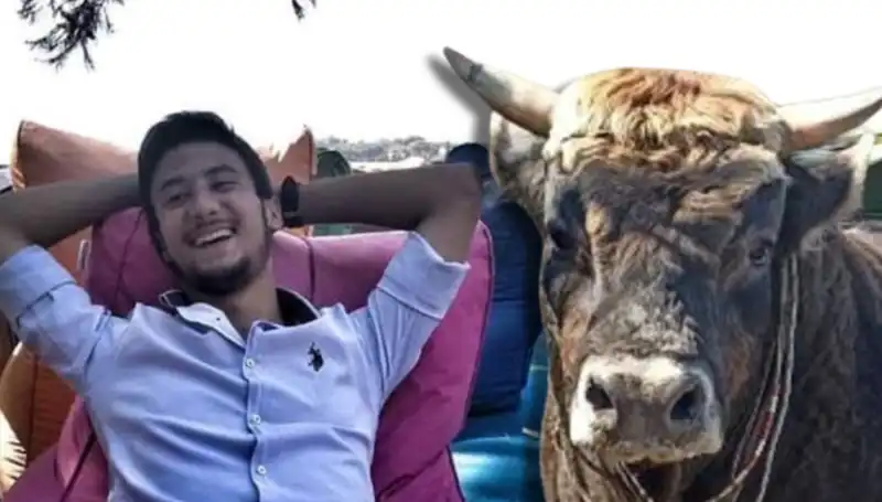 Aydın’da Güreş Boğası Can Aldı: Olayın Ayrıntıları ve Etkileri