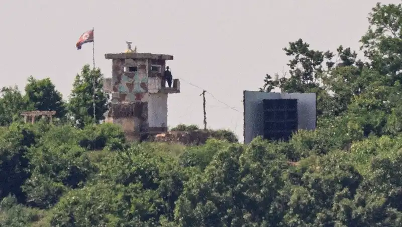Kuzey Kore'den ABD’ye Tarihi Zeytin Dalı: Diplomasi Kapıları Aralanıyor